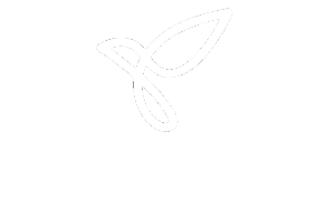 sachana